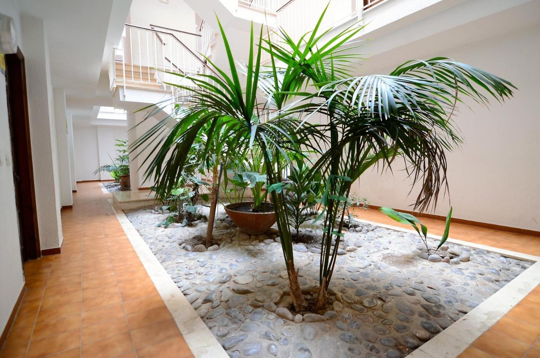 Apartamento Jardins Del Mar 69 L'Estartit Exterior foto